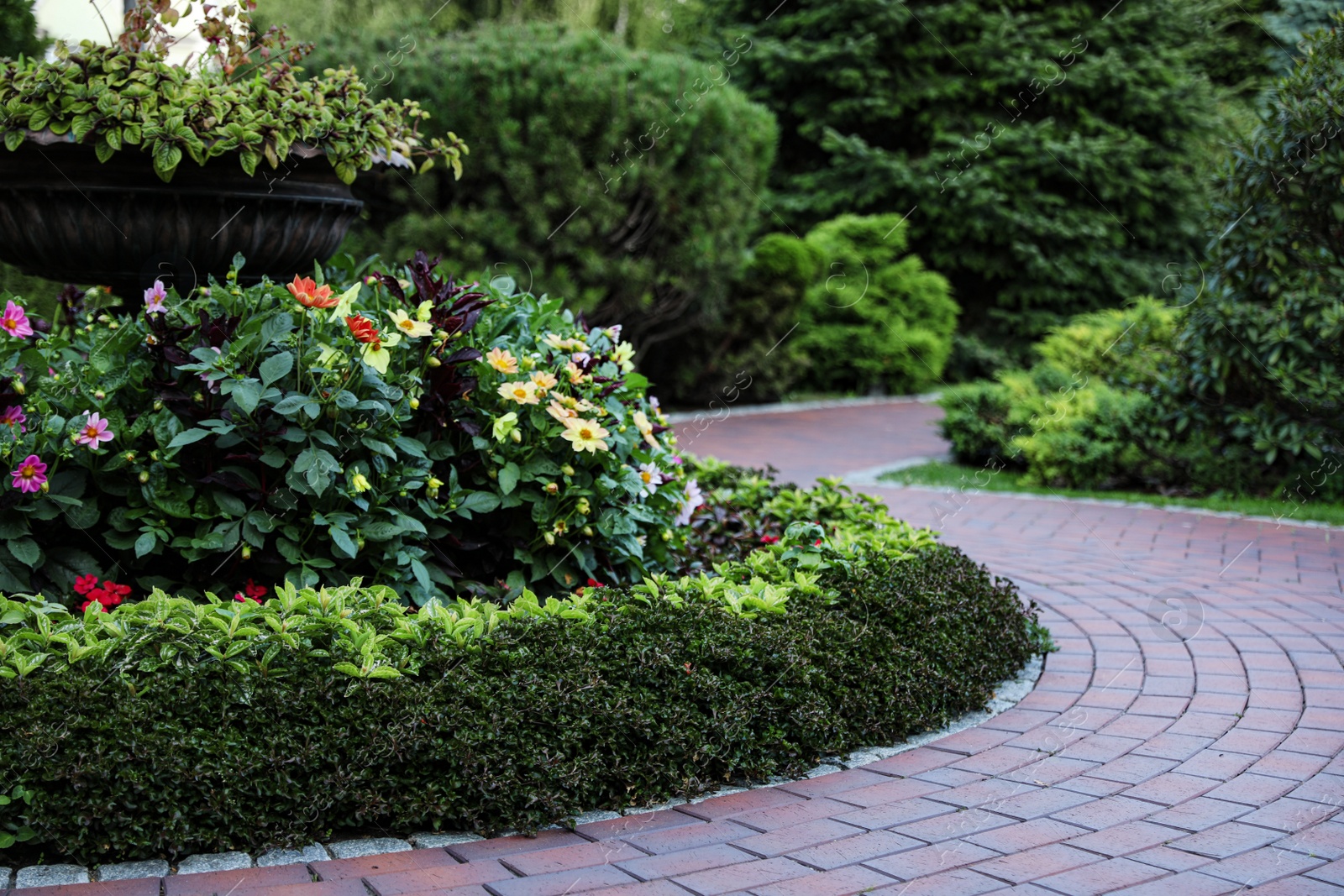 Photo of Beautiful flower bed in green garden on summer day