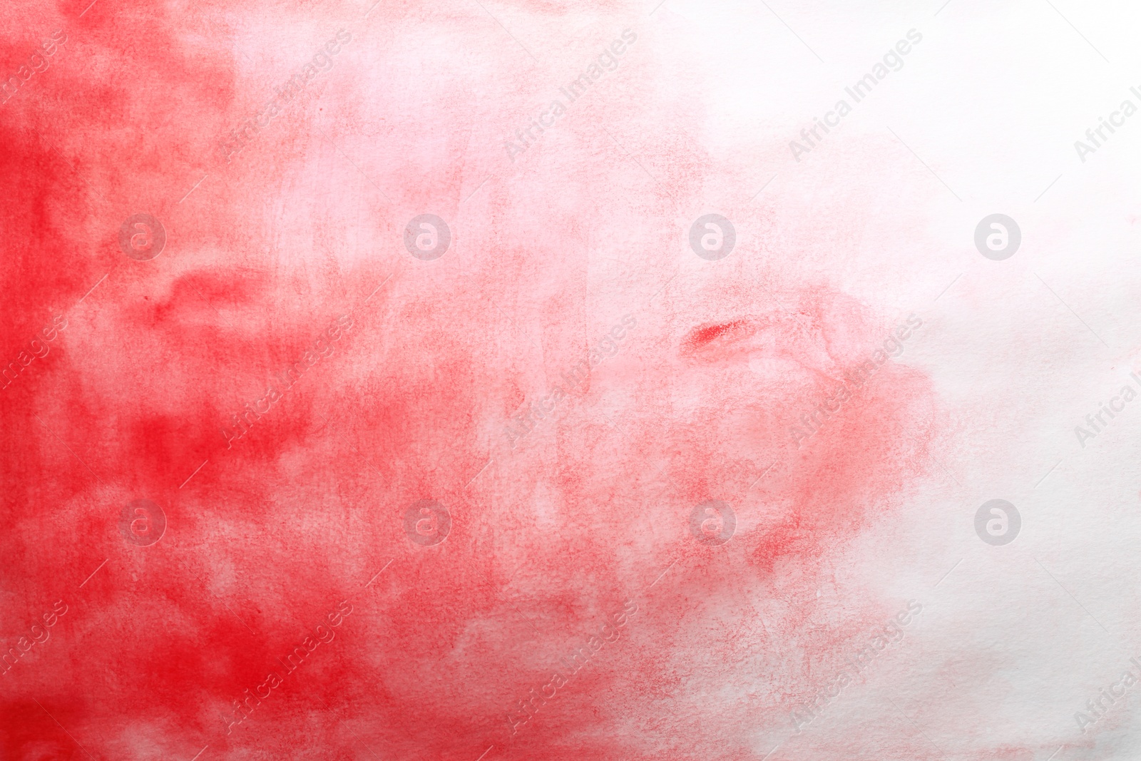 Photo of Colorful paint on white paper. Abstract background