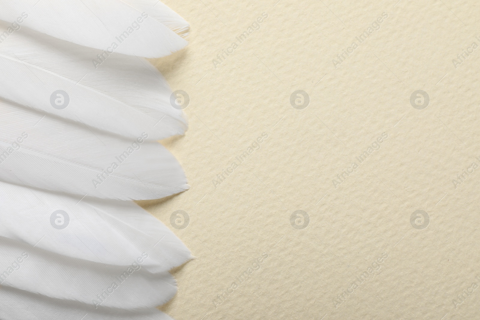 Photo of Beautiful white bird feathers on beige background, flat lay. Space for text