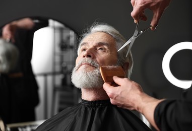 Professional barber trimming client's beard with scissors in barbershop