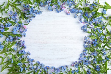 Frame made of amazing spring forget-me-not flowers on white wooden background, flat lay. Space for text