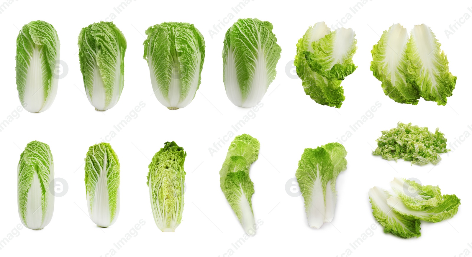 Image of Collage with fresh Chinese cabbages on white background