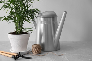 Photo of Beautiful Ravenea rivularis plant in pot and gardening tools on grey marble table, space for text. House decor