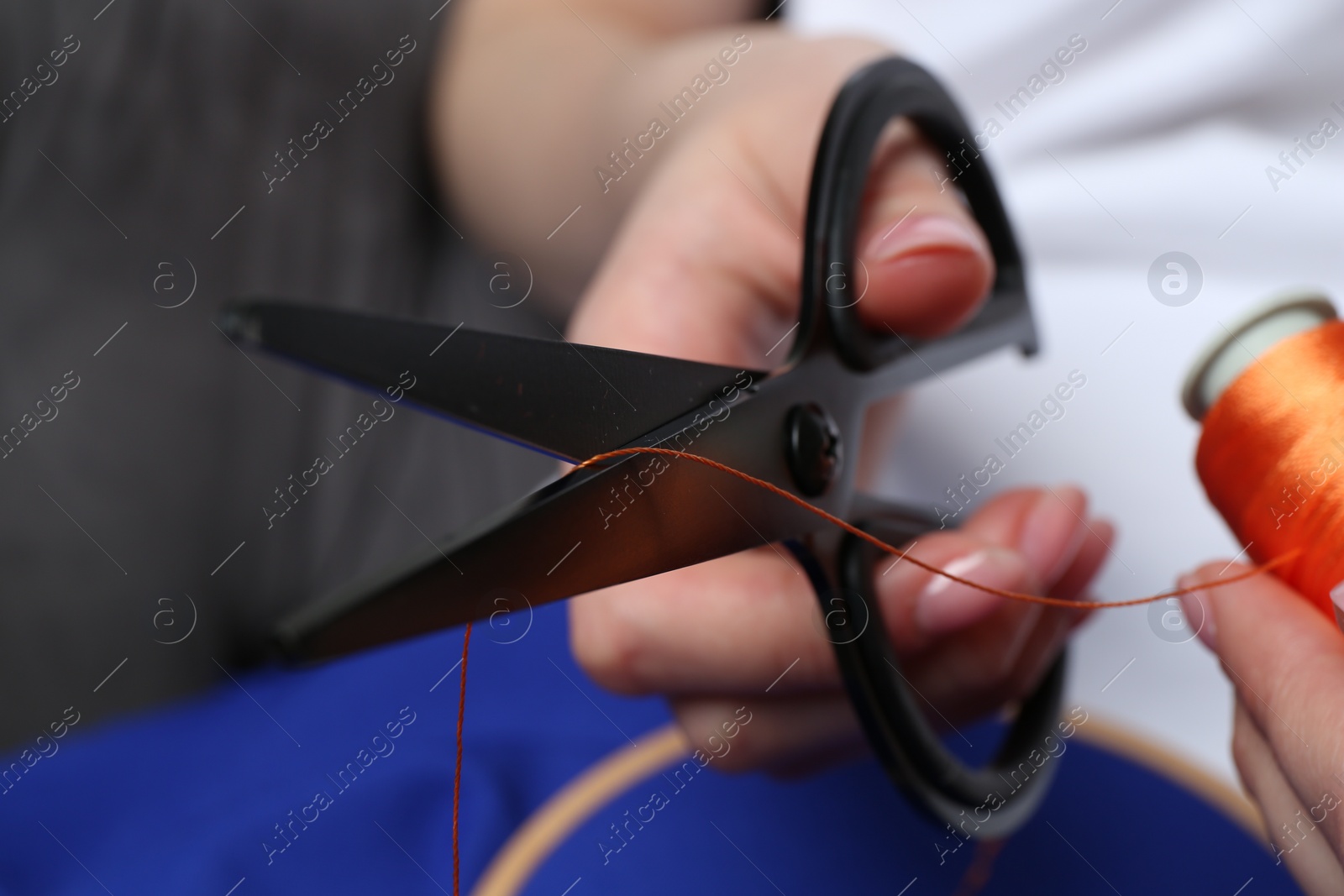 Photo of Woman cutting thread on blurred background, closeup