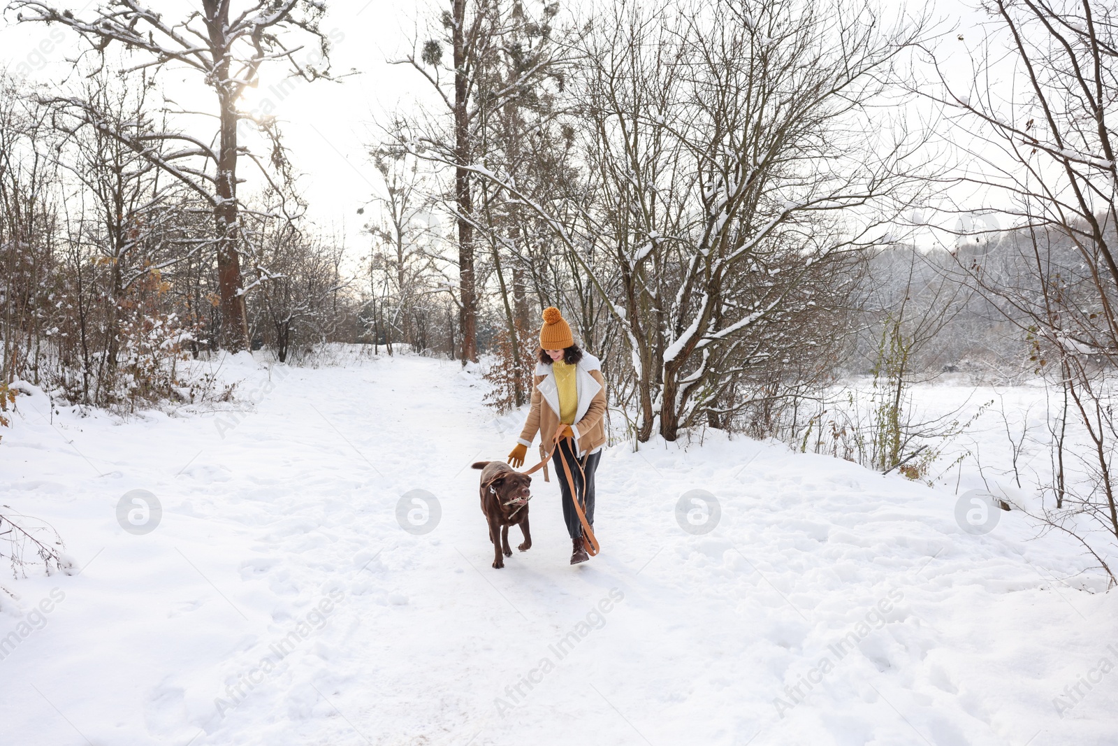 Photo of Woman walking with adorable Labrador Retriever dog in snowy park