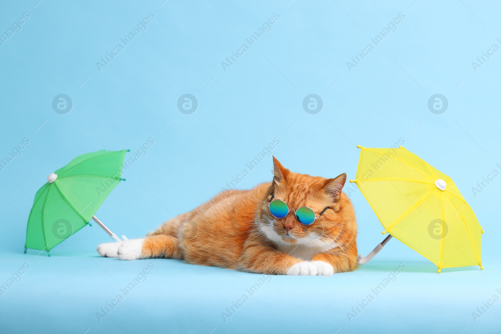 Photo of Cute ginger cat in stylish sunglasses resting between beach umbrellas on light blue background