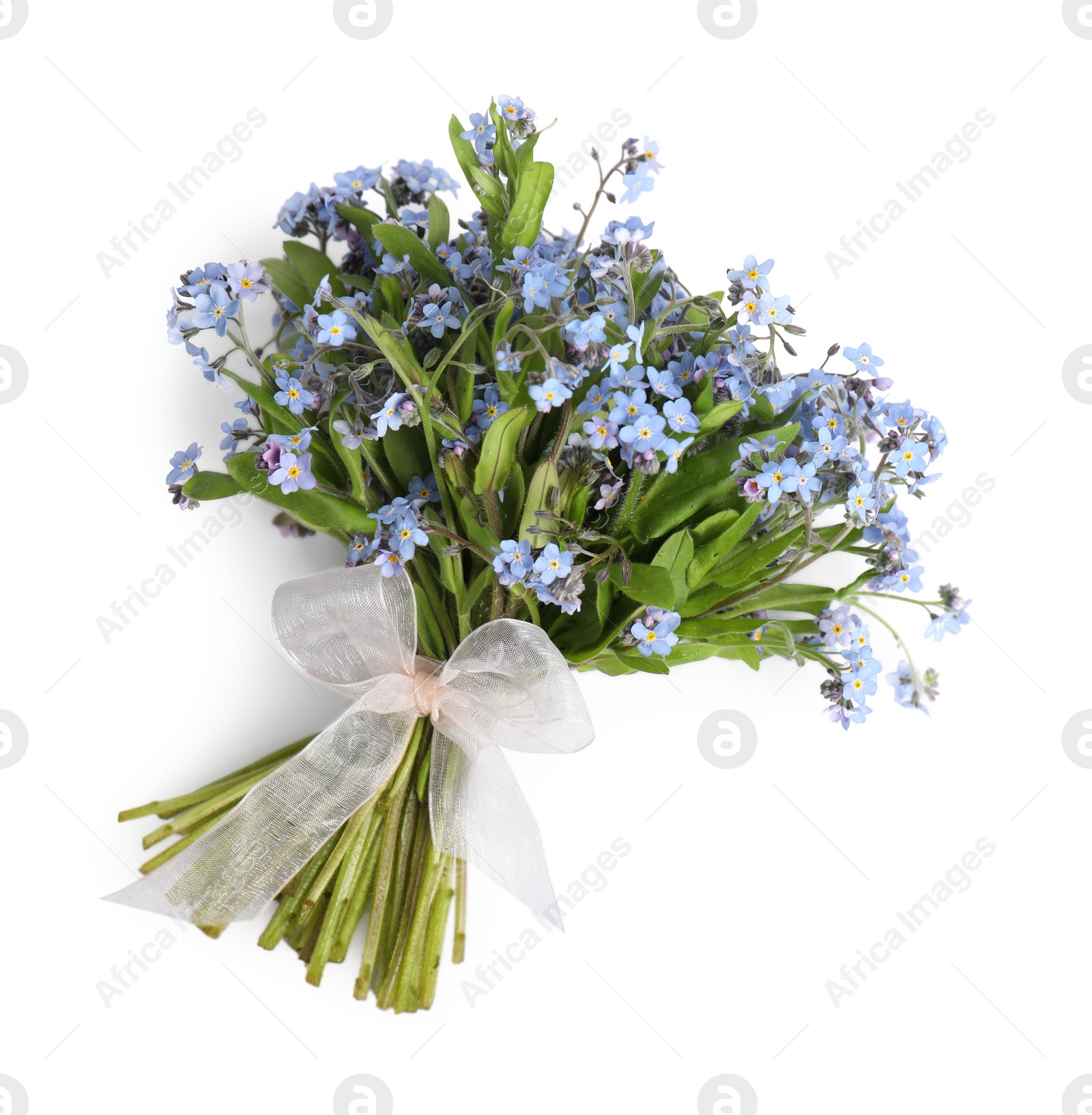 Photo of Bouquet of beautiful forget-me-not flowers on white background, top view. Space for text