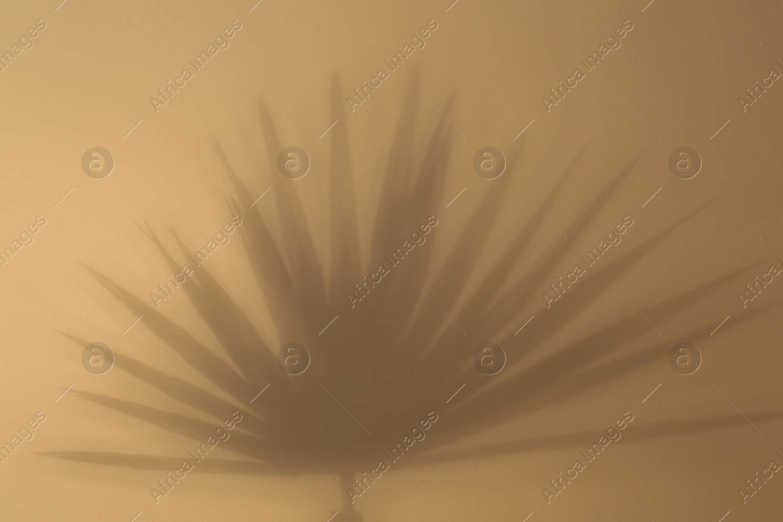 Photo of Shadow of tropical palm leaves on beige background