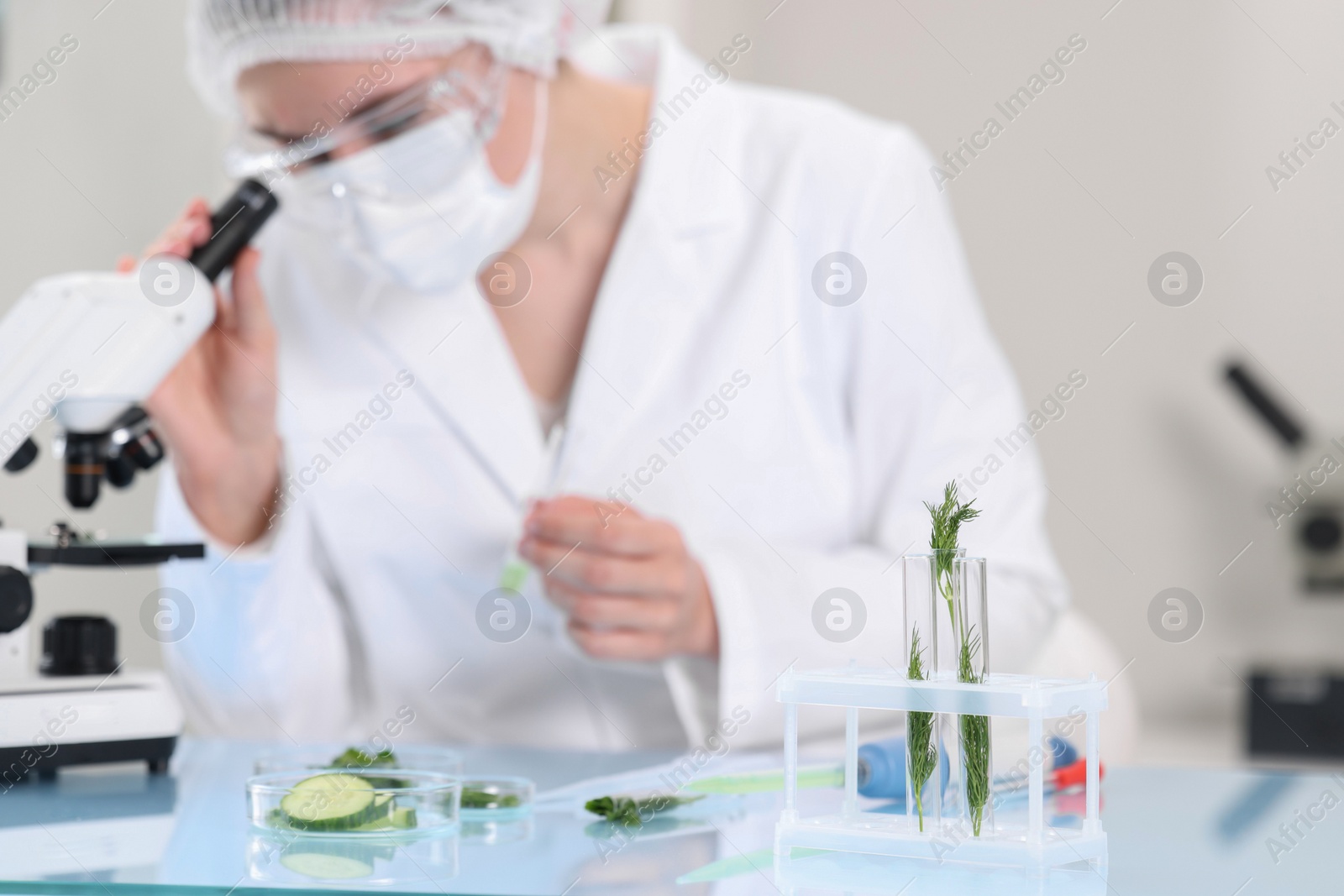 Photo of Quality control. Food inspector checking safety of products in laboratory, selective focus