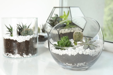 Glass florariums with different succulents on windowsill, space for text