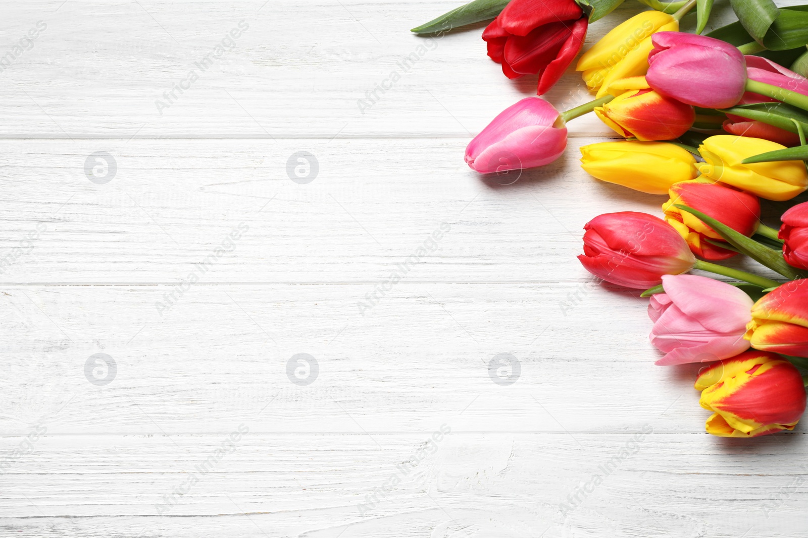 Photo of Beautiful spring tulips on white wooden table, flat lay. Space for text