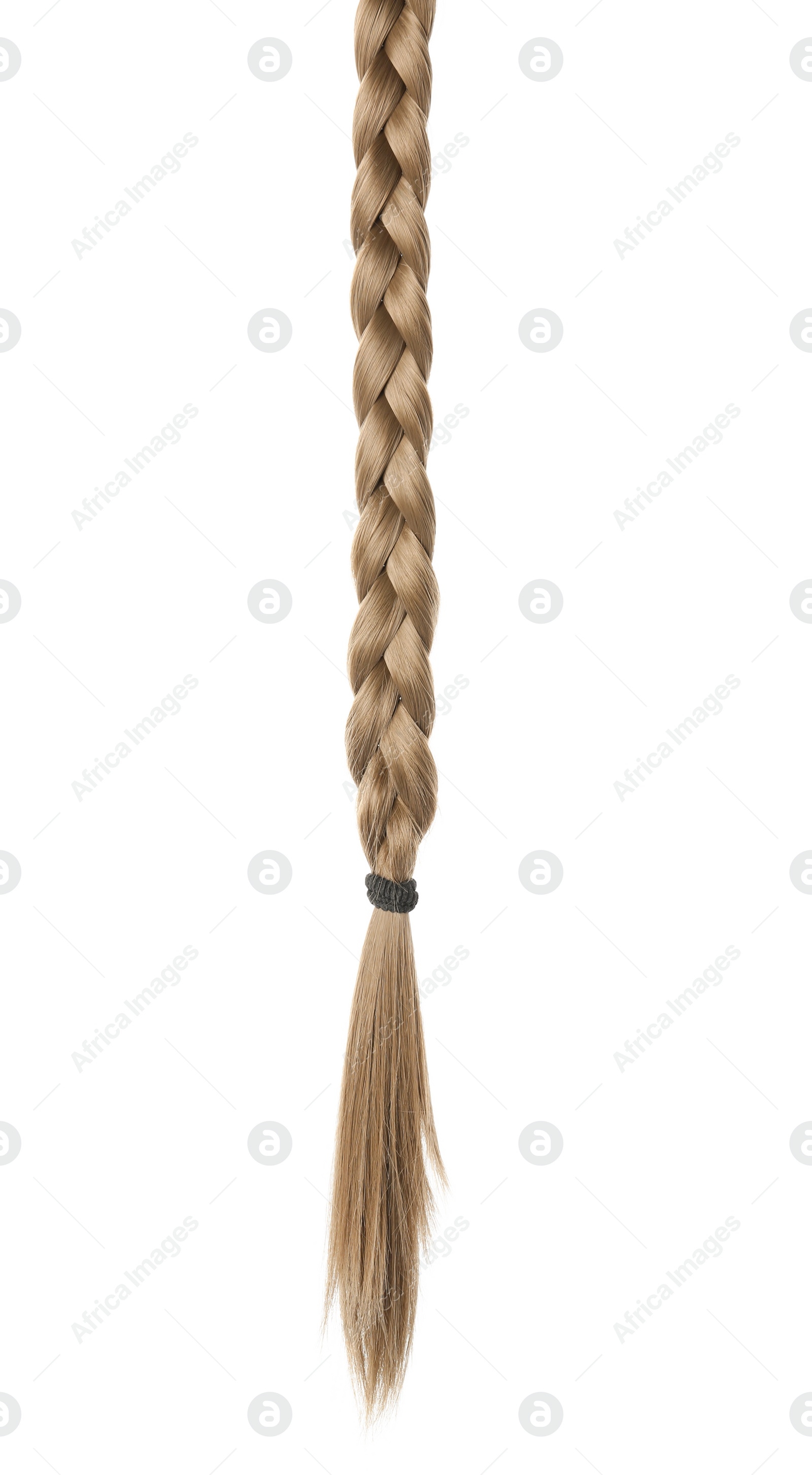 Photo of Beautiful long braid on white background. Healthy hair