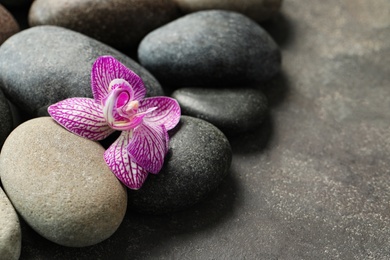 Photo of Spa stones and orchid flower on grey table, closeup