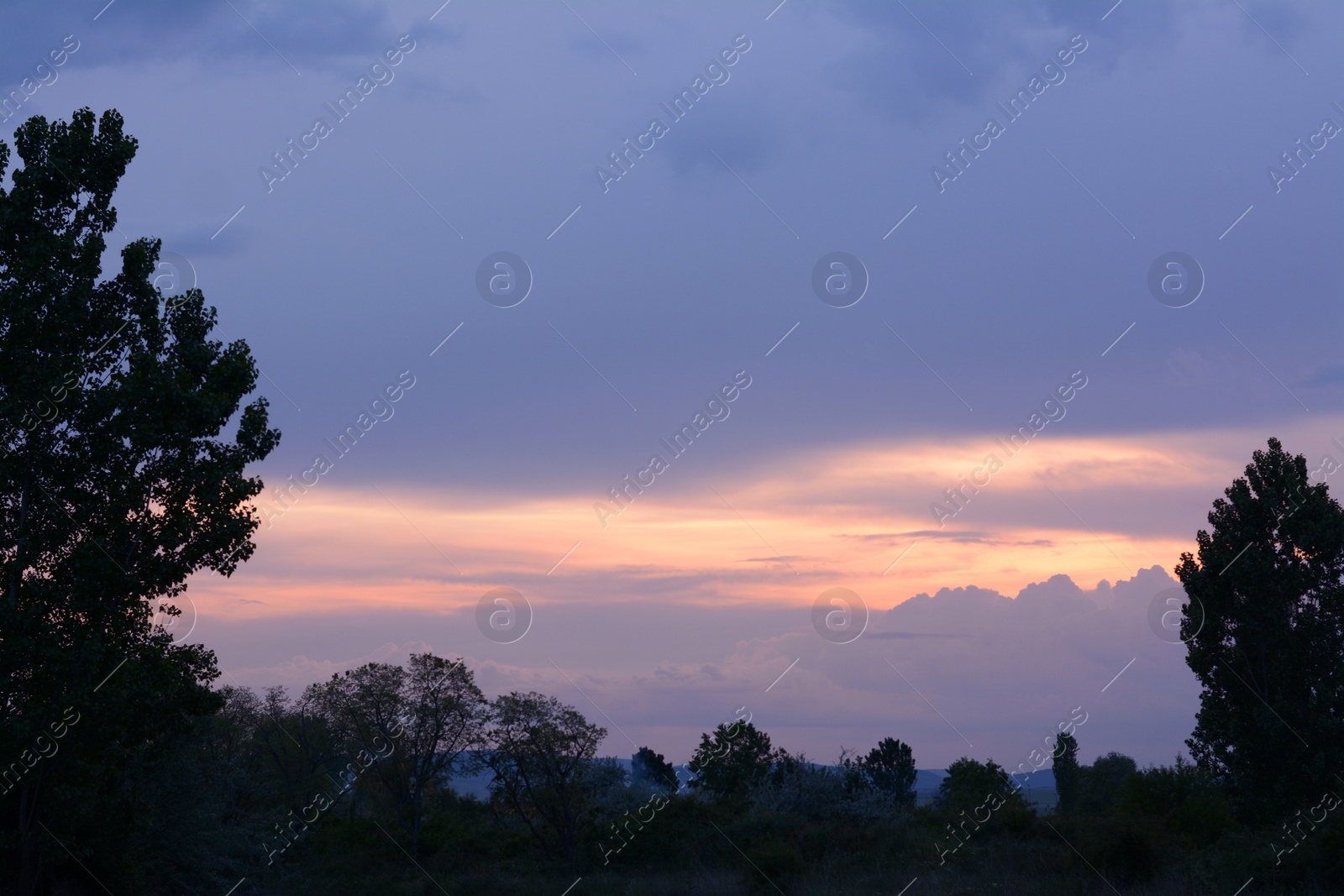 Photo of Picturesque view on cloudy sky over trees at sunset