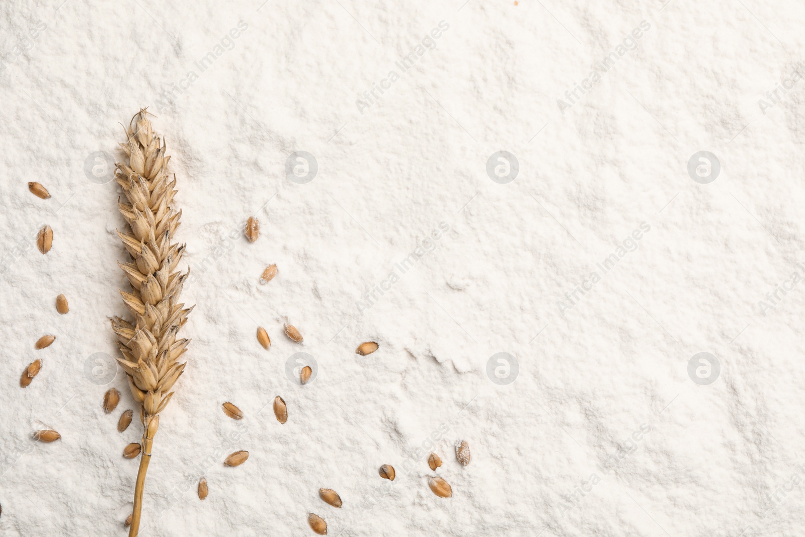 Photo of Wheat grains and spike on flour, flat lay. Space for text