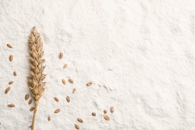 Wheat grains and spike on flour, flat lay. Space for text