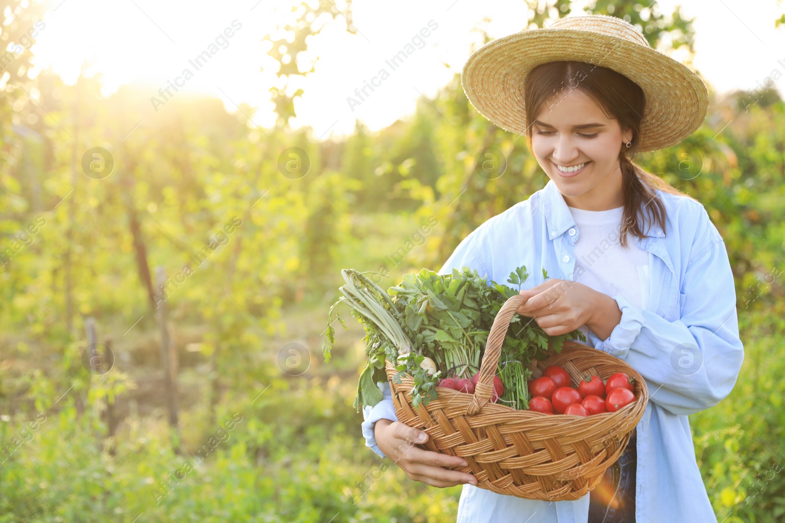 Photo of Woman with basket of different fresh ripe vegetables on farm. Space for text