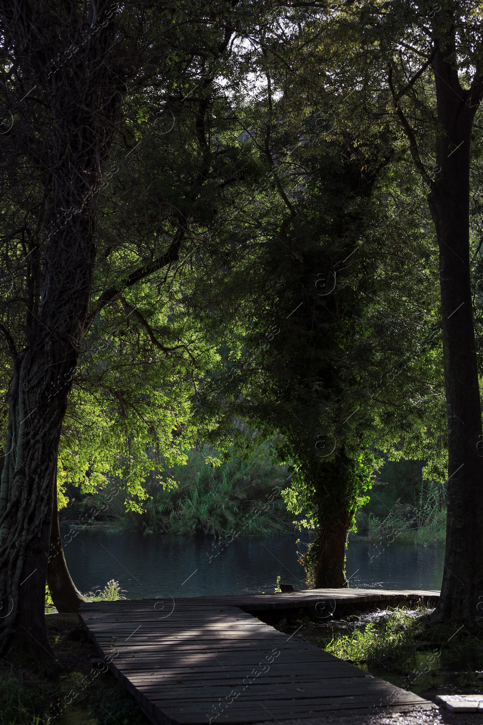 Photo of Picturesque view of beautiful river and pathway outdoors