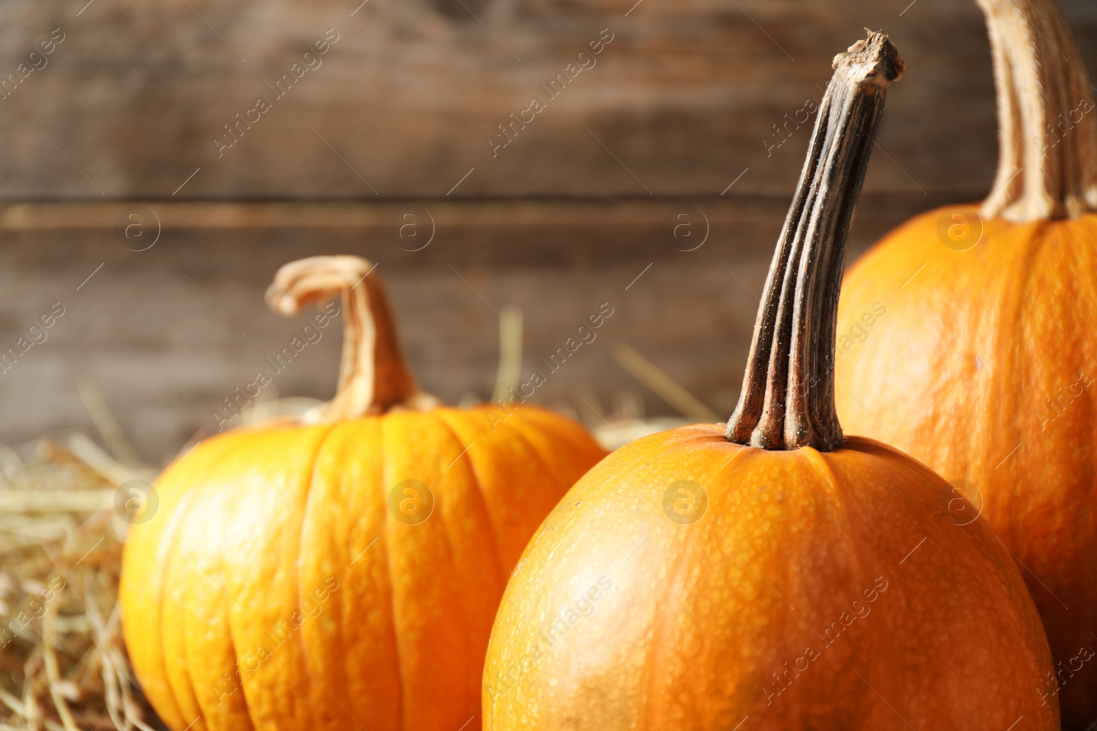 Photo of Ripe pumpkins on hay against wooden background, closeup. Holiday decoration