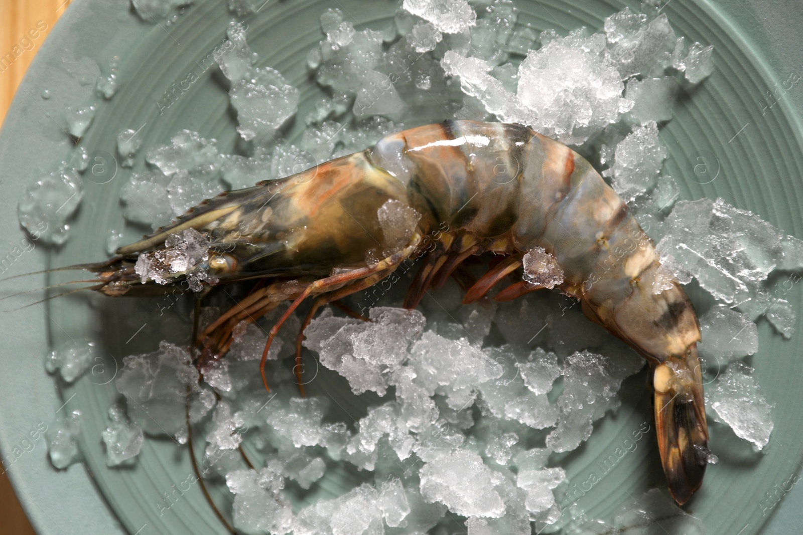 Photo of Fresh black tiger shrimp with ice on plate, top view