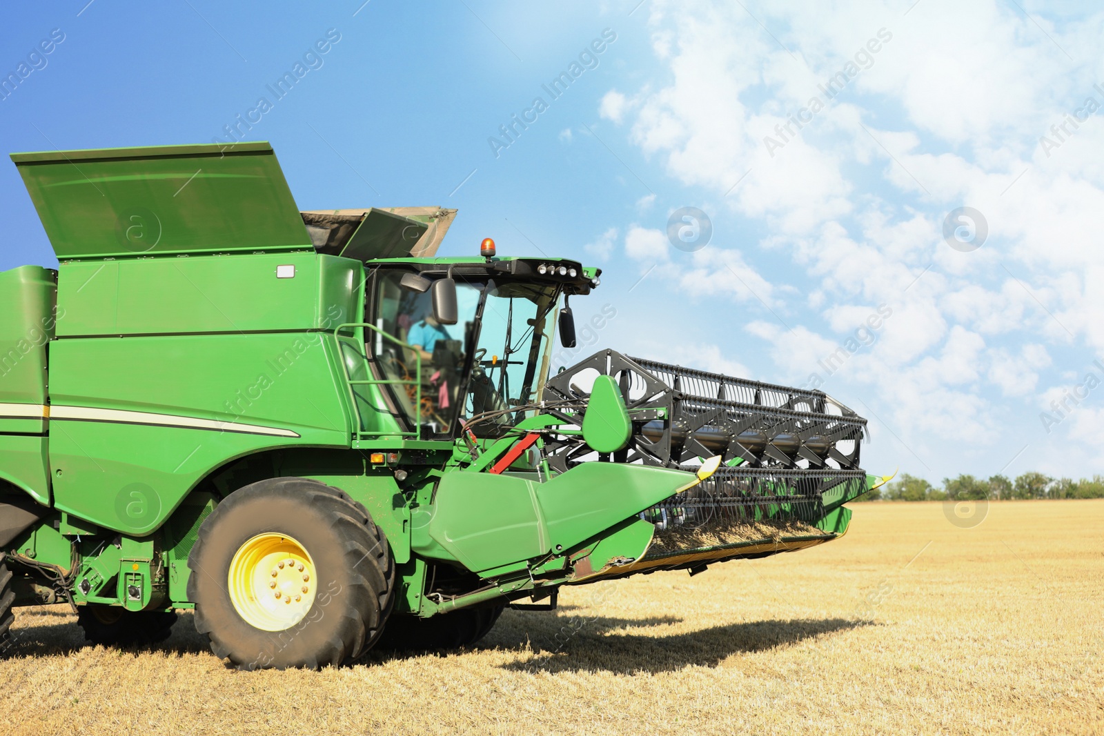 Photo of Modern combine harvester in field. Agricultural industry