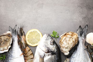 Flat lay composition with fresh raw dorado fish and different seafood, lemon on grey table. Space for text