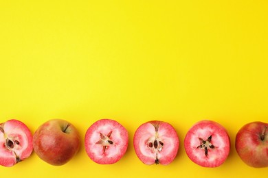 Photo of Tasty apples with red pulp on yellow background, flat lay. Space for text