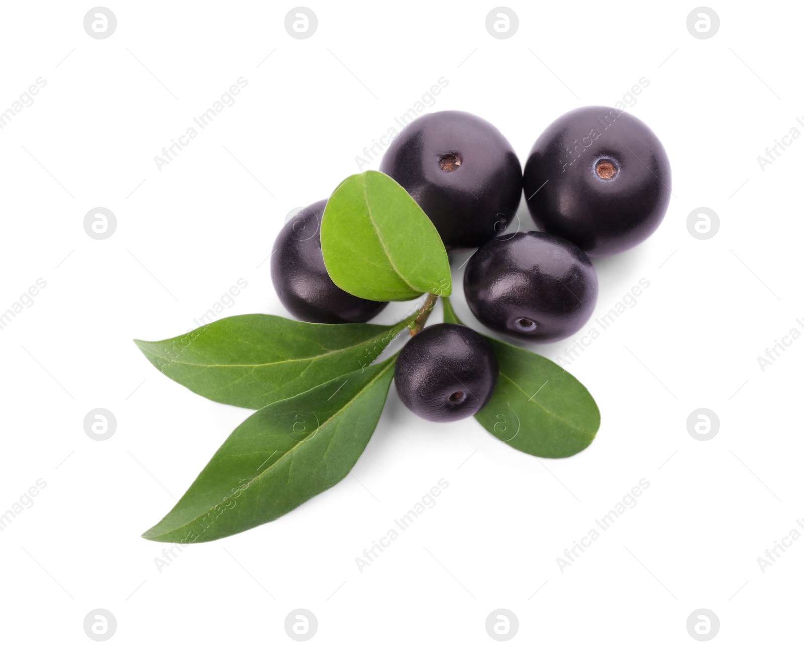 Photo of Fresh acai berries with leaves isolated on white, top view