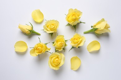 Photo of Beautiful yellow roses and petals on white background, flat lay