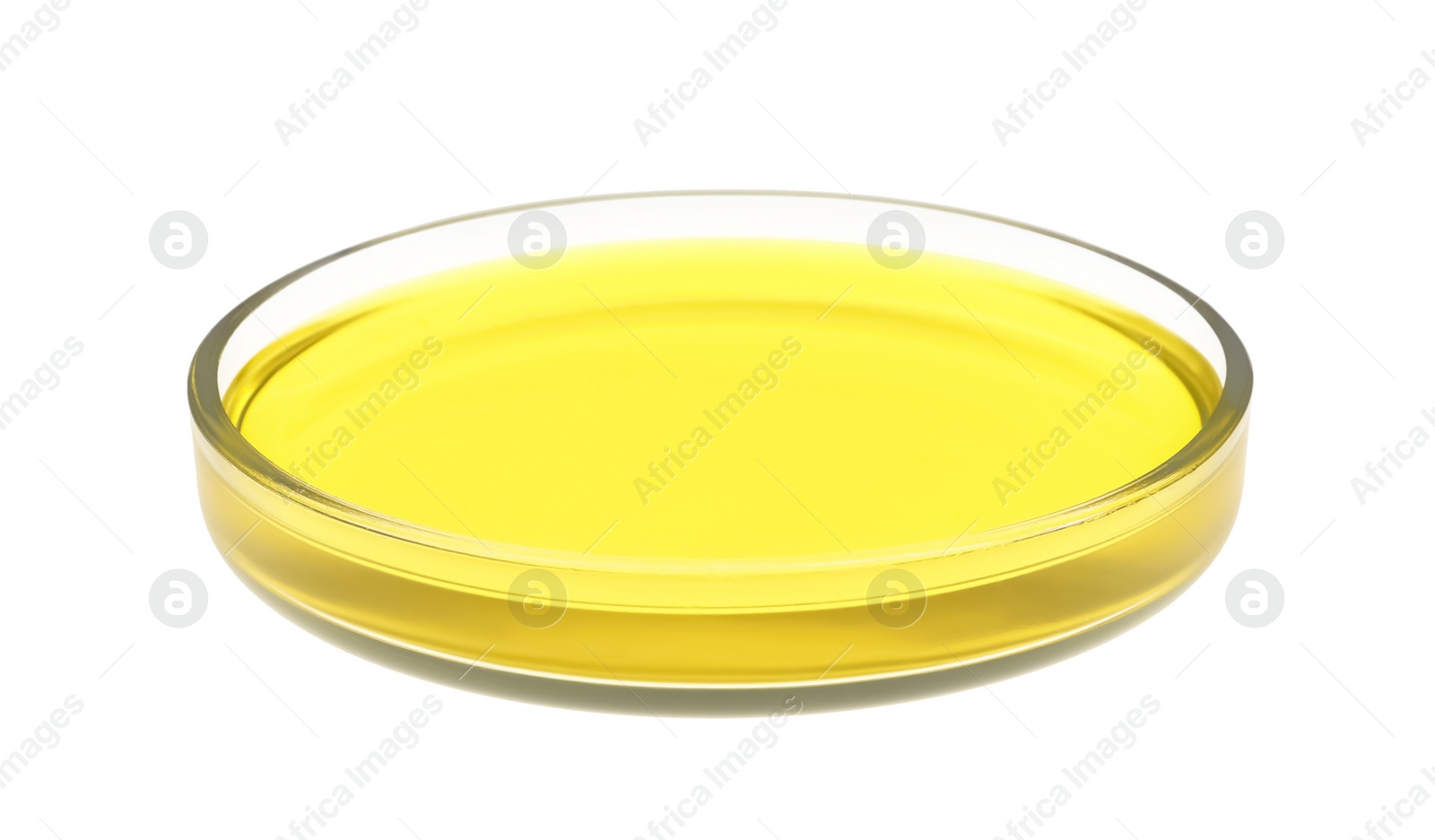 Photo of Petri dish with yellow liquid isolated on white