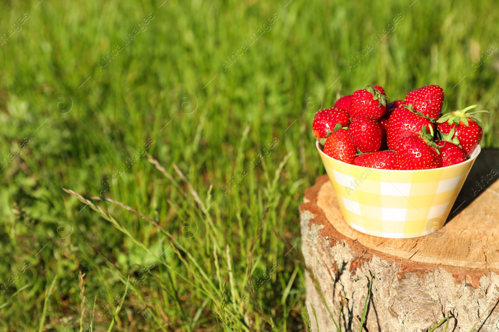 Photo of Bowl of ripe strawberries on tree stump outdoors. Space for text