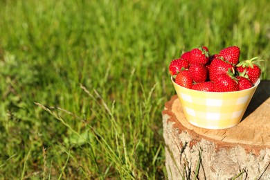 Photo of Bowl of ripe strawberries on tree stump outdoors. Space for text