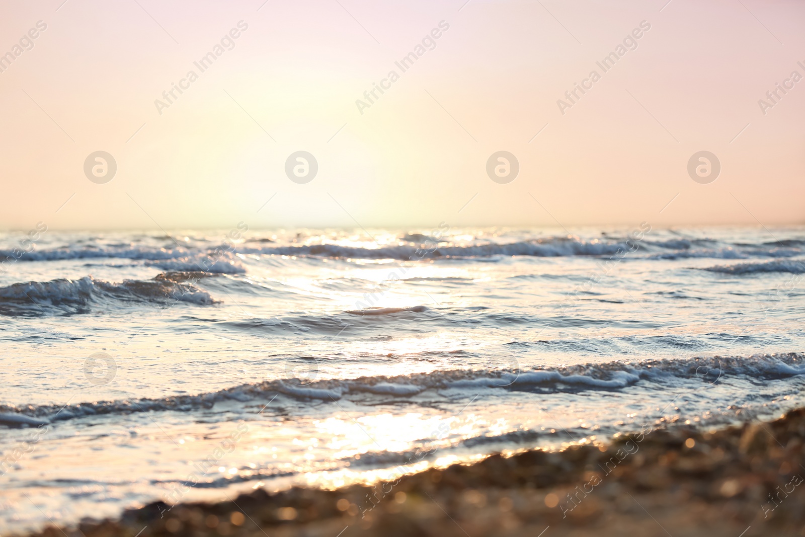 Photo of Picturesque view of beautiful beach on sunset