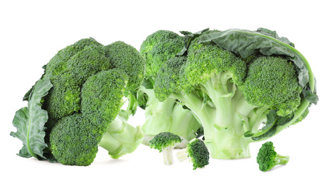 Fresh green broccoli on white background. Banner design
