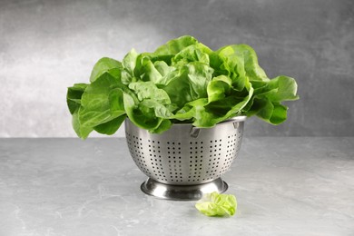 Photo of Fresh green butter lettuce in colander on grey marble table