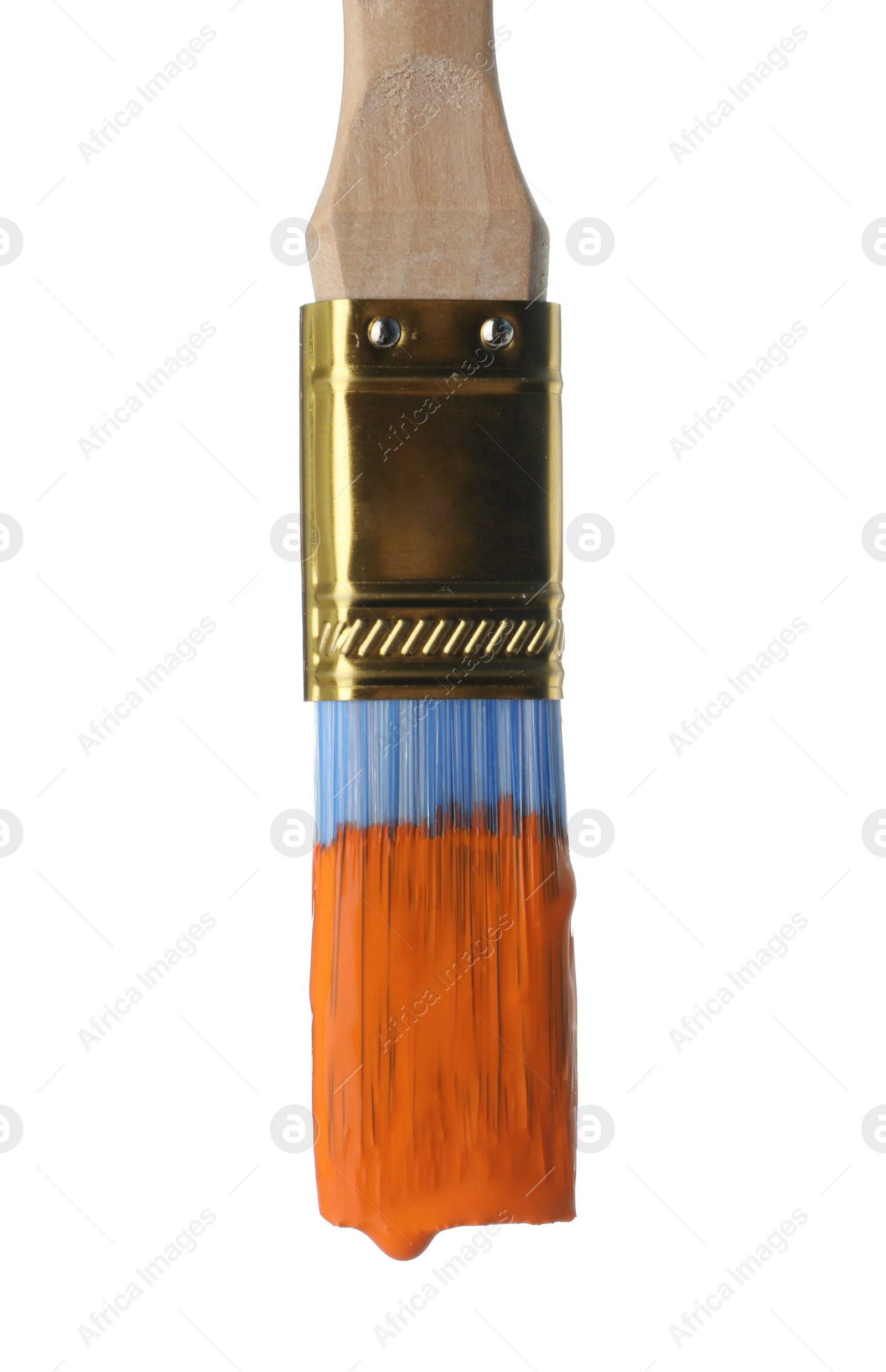 Photo of Brush with orange paint on white background, closeup