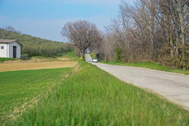 Beautiful countryside with road and green field on sunny day