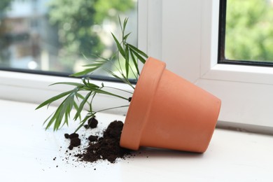 Photo of Overturned terracotta flower pot with soil and plant on white windowsill indoors