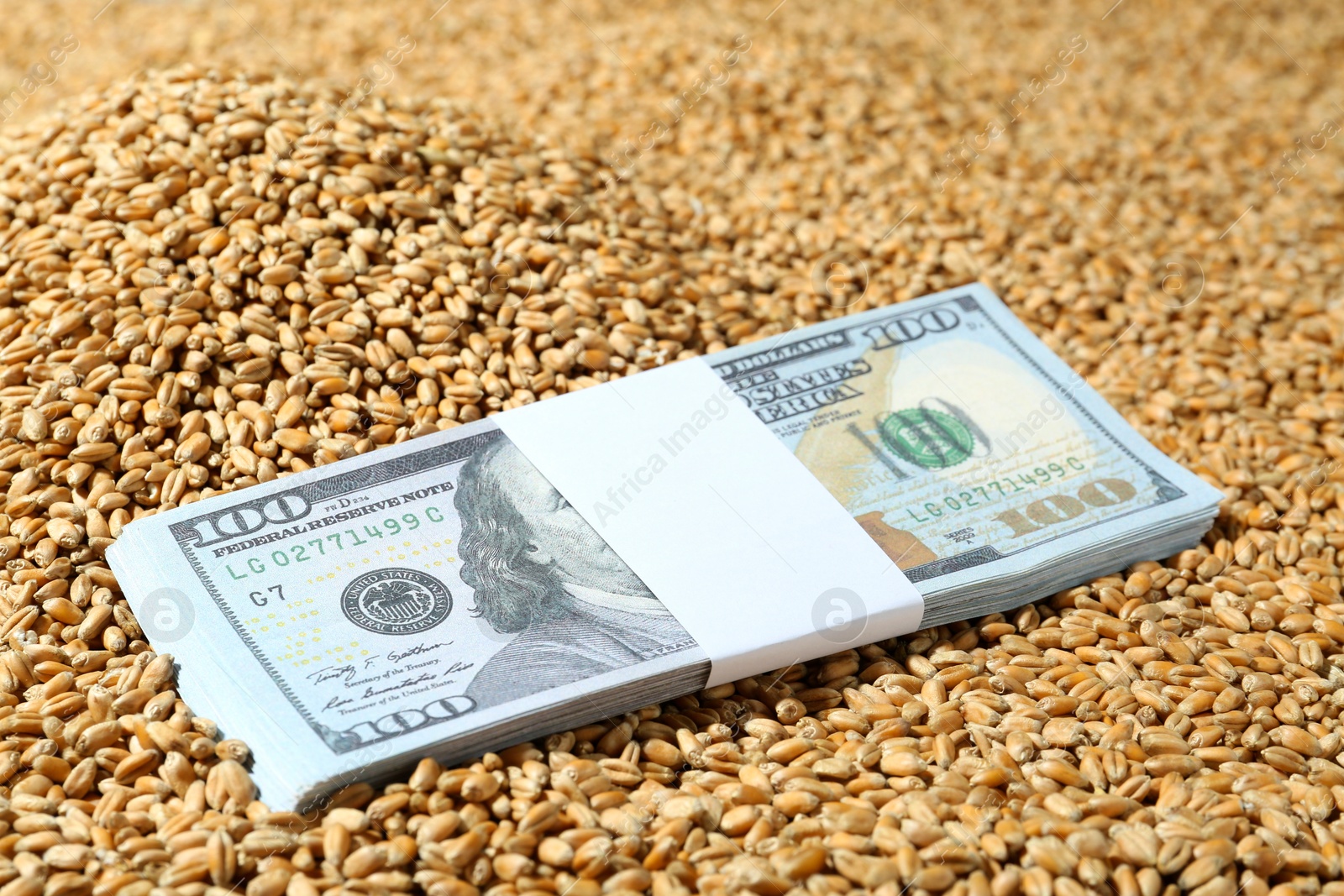 Photo of Wheat grains with dollar banknotes, closeup. Global food crisis concept