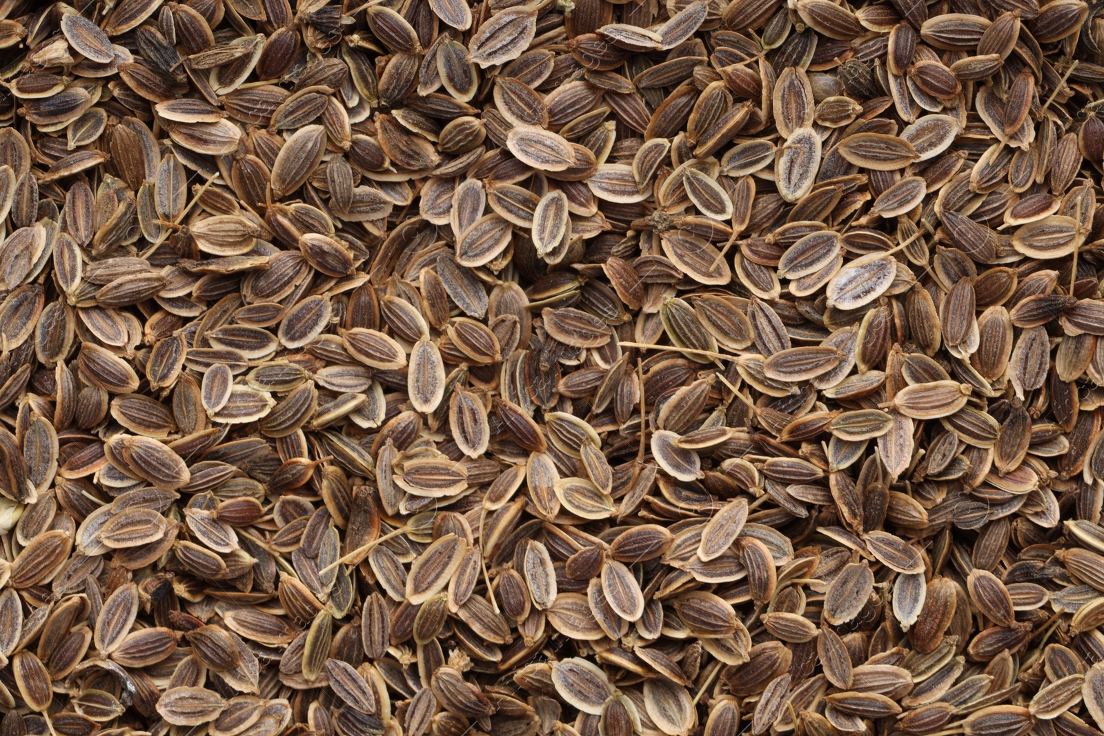 Photo of Many dry dill seeds as background, top view