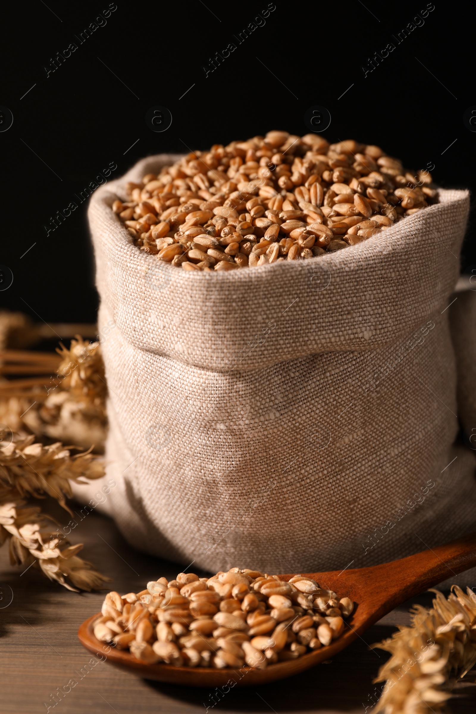 Photo of Wheat grains with spikelets on wooden table against black background