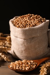 Photo of Wheat grains with spikelets on wooden table against black background