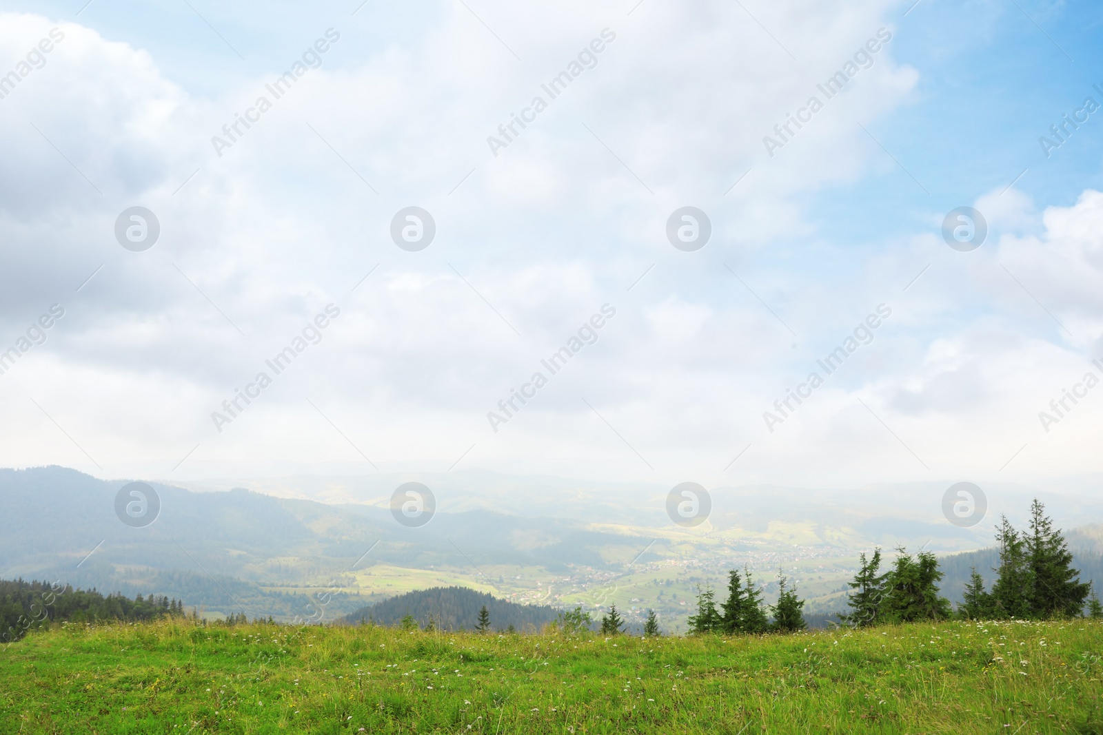 Photo of Picturesque landscape with mountain meadow and forest