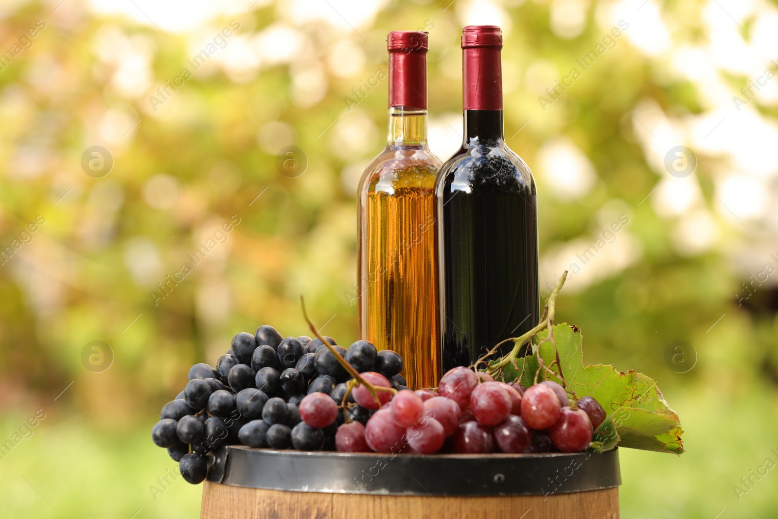 Photo of Delicious wines and ripe grapes on wooden barrel outdoors, space for text