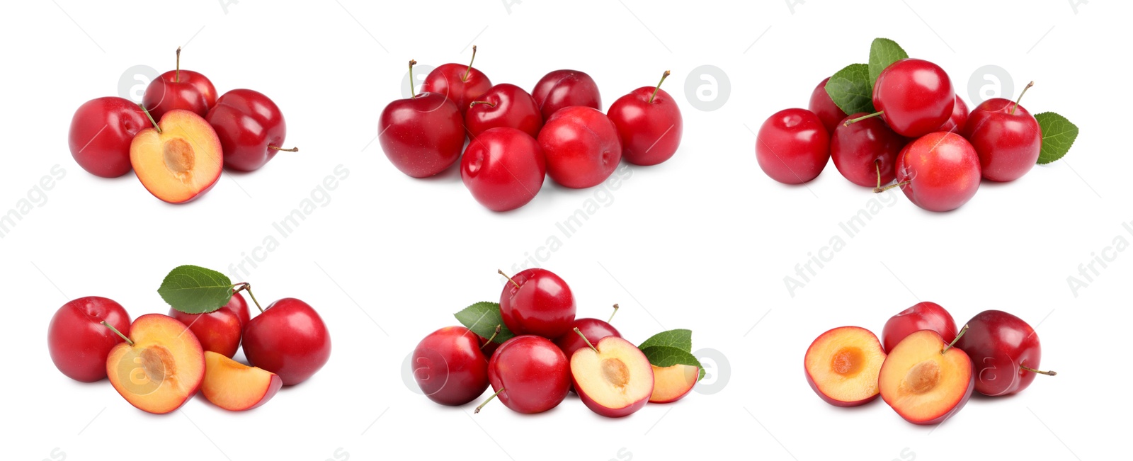 Image of Set with delicious ripe cherry plums on white background. Banner design