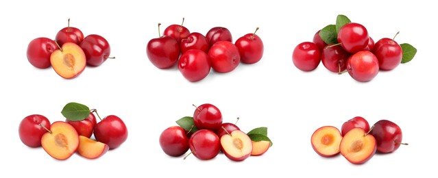 Image of Set with delicious ripe cherry plums on white background. Banner design