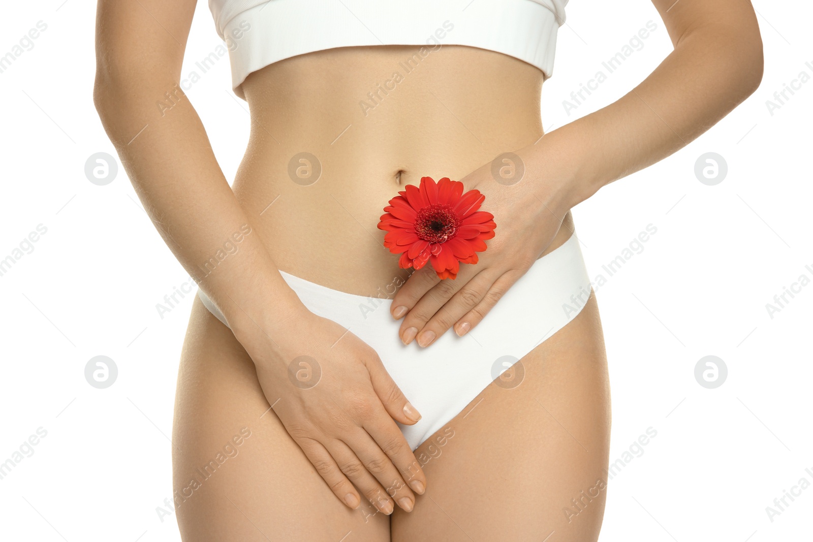 Photo of Gynecology. Woman in underwear with gerbera flower on white background, closeup