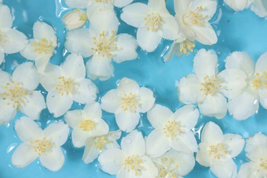 Photo of Beautiful jasmine flowers in water on light blue background, top view