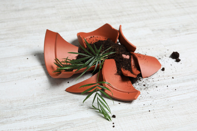 Broken terracotta flower pot with soil and plant on white wooden floor