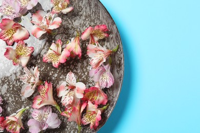 Photo of Bowl of water with flowers on light blue background, top view and space for text. Spa treatment